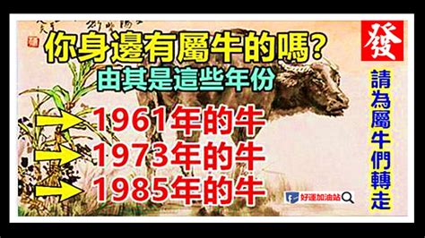 1973生肖運勢|【1973牛】揭開1973年牛寶寶的五行之謎！屬牛人生運勢大公開